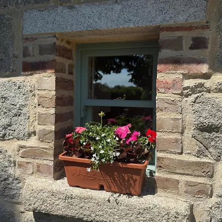 Holly Cozy Loft Holiday home